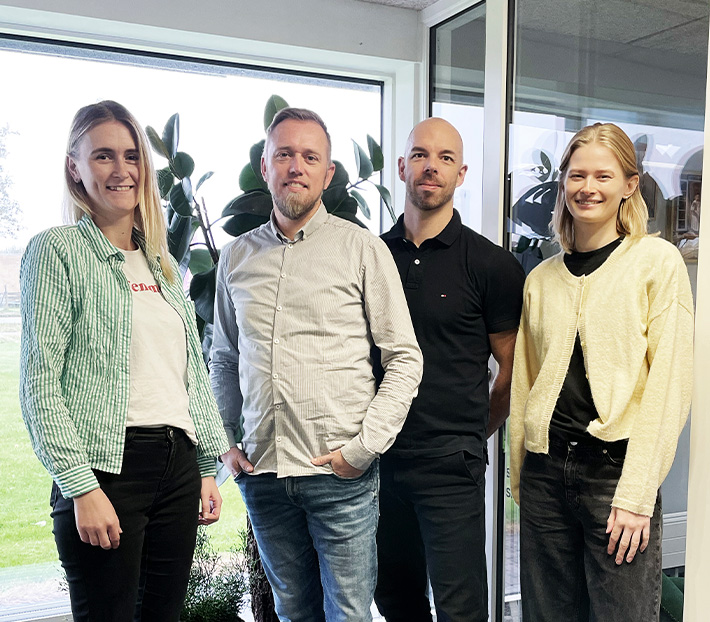 Dannebrogsvindue hulm&aring;l 